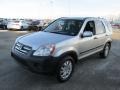 Alabaster Silver Metallic - CR-V EX Photo No. 5