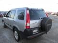 Alabaster Silver Metallic - CR-V EX Photo No. 17