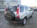 Alabaster Silver Metallic - CR-V EX Photo No. 18