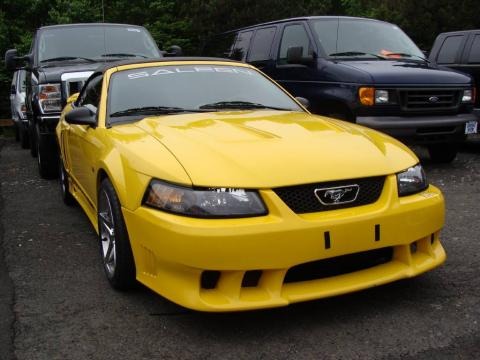 2004 Ford Mustang Saleen S281 Supercharged Convertible Data, Info and Specs