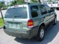 2006 Titanium Green Metallic Ford Escape XLS  photo #3