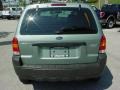 2006 Titanium Green Metallic Ford Escape XLS  photo #4