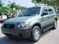 2006 Titanium Green Metallic Ford Escape XLS  photo #8