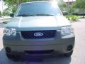 2006 Titanium Green Metallic Ford Escape XLS  photo #9