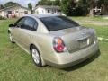 2002 Velvet Beige Nissan Altima 2.5 S  photo #3