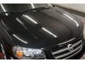 2002 Super Black Nissan Maxima SE  photo #38