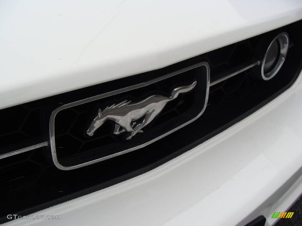 2006 Mustang V6 Premium Coupe - Performance White / Light Graphite photo #5