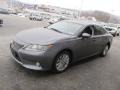 Nebula Gray Pearl - ES 350 Photo No. 6
