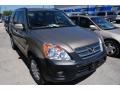 Sahara Sand Metallic - CR-V EX Photo No. 3