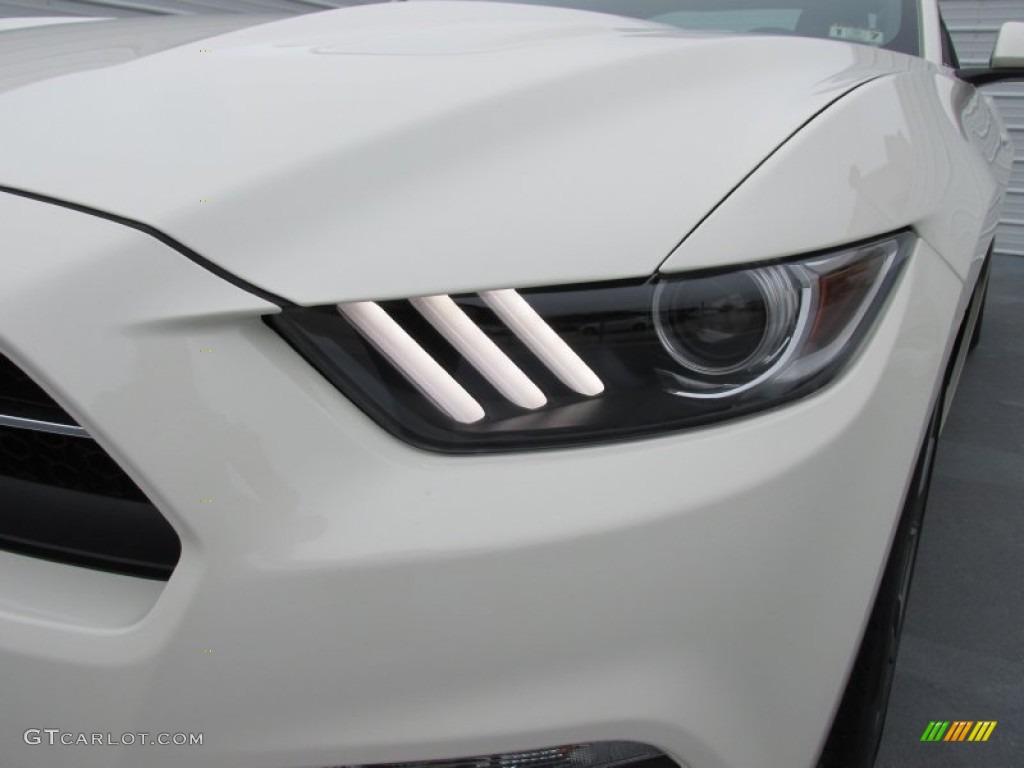 2015 Mustang 50th Anniversary GT Coupe - 50th Anniversary Wimbledon White / 50th Anniversary Cashmere photo #10