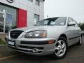 Sterling Metallic - Elantra GT Hatchback Photo No. 2
