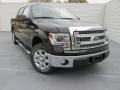 Tuxedo Black - F150 XLT SuperCrew Photo No. 1