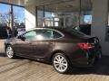 Mocha Bronze Metallic - Verano Convenience Photo No. 5