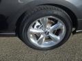 Sterling Gray - Mustang V6 Convertible Photo No. 12