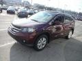 2014 Basque Red Pearl II Honda CR-V EX-L AWD  photo #6