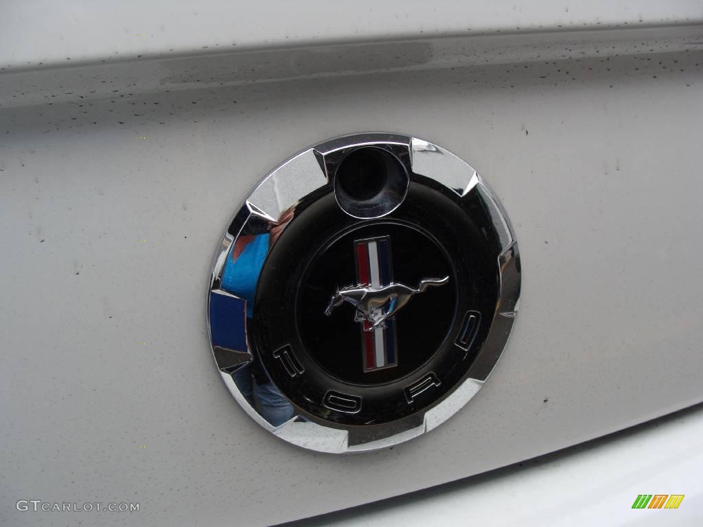 2007 Mustang V6 Deluxe Convertible - Performance White / Light Graphite photo #21