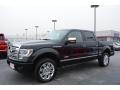 2013 Tuxedo Black Metallic Ford F150 Platinum SuperCrew 4x4  photo #7