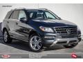 2015 Steel Grey Metallic Mercedes-Benz ML 350 4Matic  photo #1