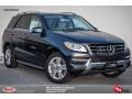 2015 Steel Grey Metallic Mercedes-Benz ML 250 BlueTEC 4Matic  photo #1