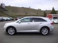 Classic Silver Metallic - Venza LE Photo No. 4