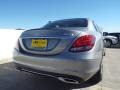 Paladium Silver Metallic - C 300 4Matic Photo No. 4
