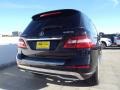 Black - ML 250 BlueTEC 4Matic Photo No. 4