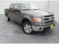 Sterling Grey - F150 XLT SuperCrew Photo No. 1