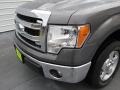 Sterling Grey - F150 XLT SuperCrew Photo No. 7