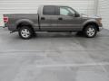 Sterling Grey - F150 XLT SuperCrew Photo No. 8