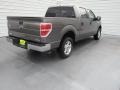 Sterling Grey - F150 XLT SuperCrew Photo No. 9