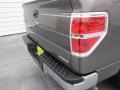 Sterling Grey - F150 XLT SuperCrew Photo No. 12