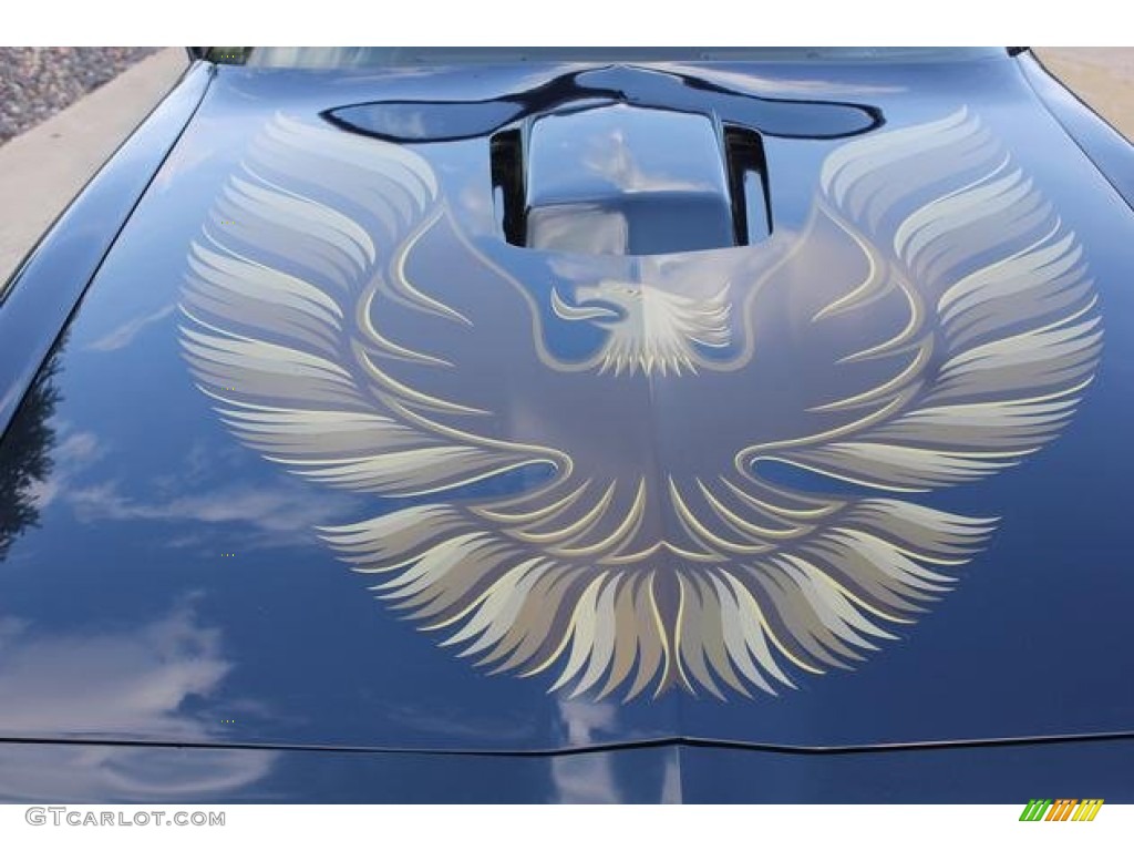 1981 Pontiac Firebird Trans Am Coupe Marks and Logos Photo #100751980