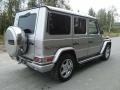 Brilliant Silver Metallic - G 55 AMG Photo No. 13