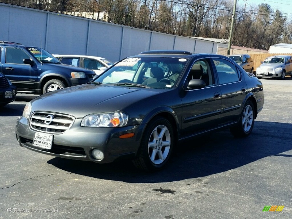 2003 Maxima SE - Gray Lustre / Frost photo #1