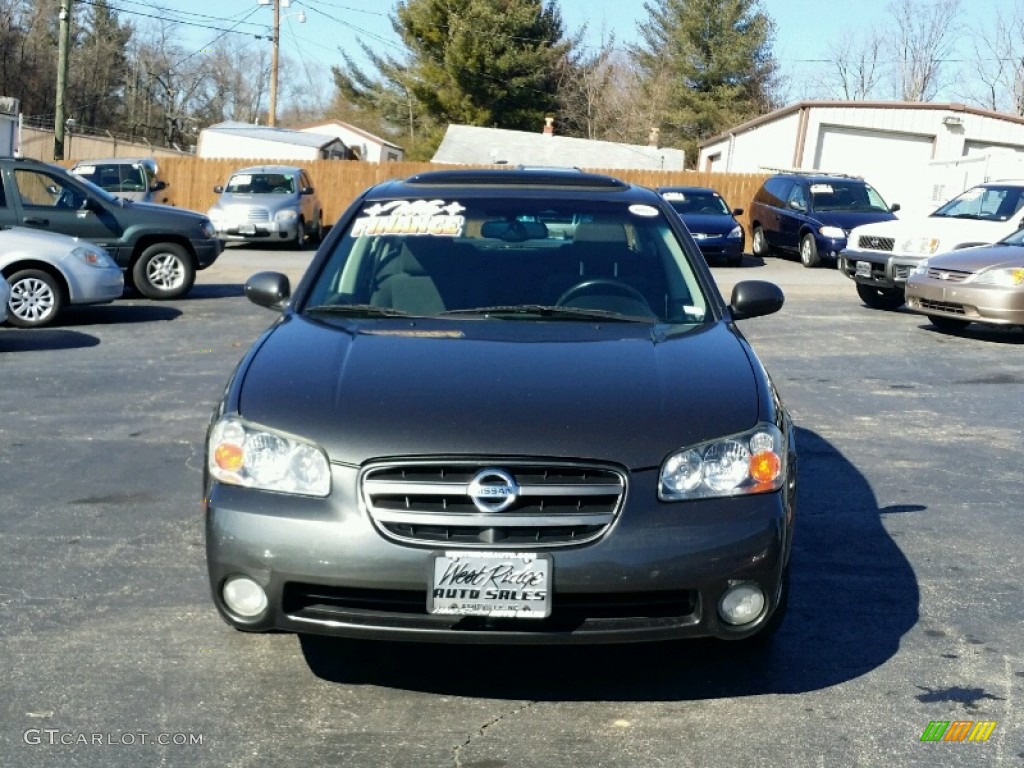 2003 Maxima SE - Gray Lustre / Frost photo #2