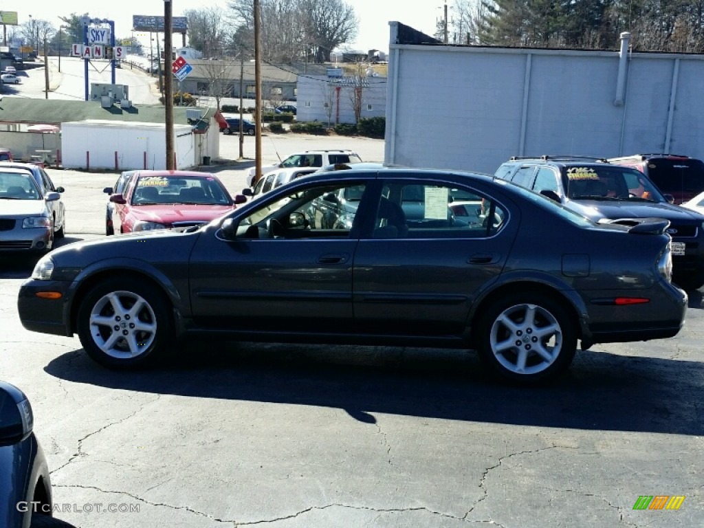 2003 Maxima SE - Gray Lustre / Frost photo #3