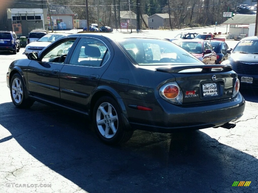2003 Maxima SE - Gray Lustre / Frost photo #4