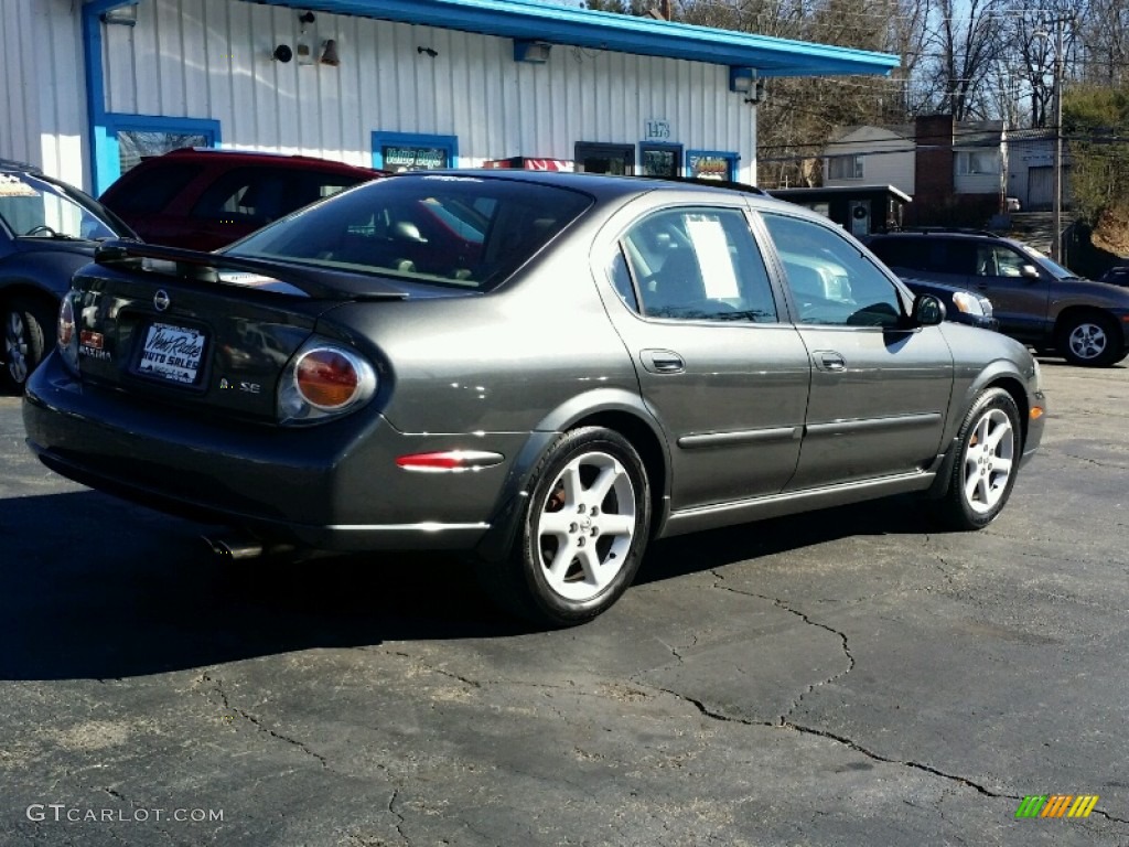 2003 Maxima SE - Gray Lustre / Frost photo #6