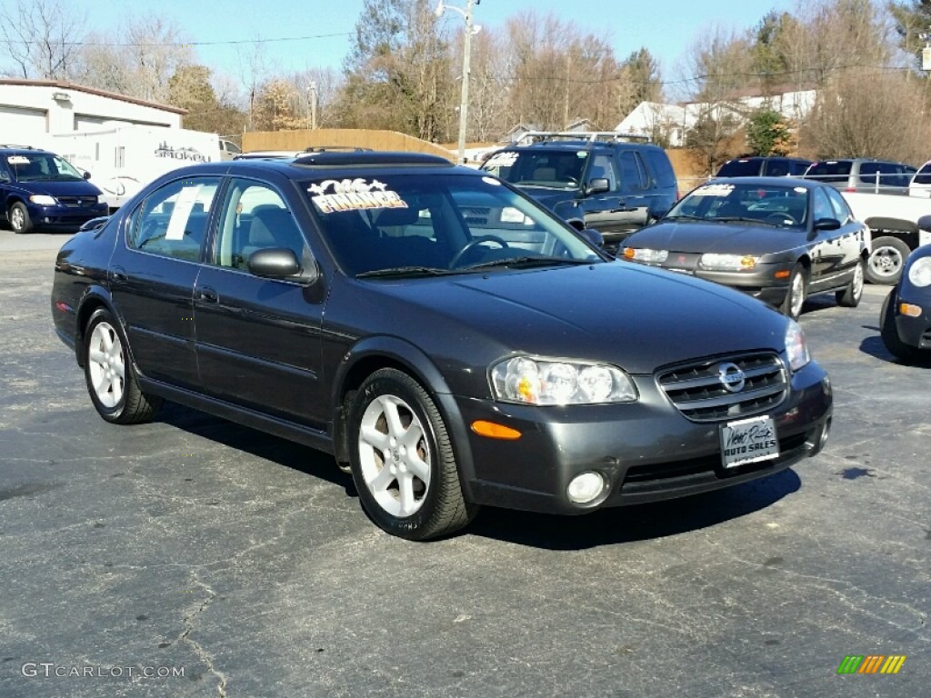 2003 Maxima SE - Gray Lustre / Frost photo #8