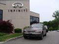Beryllium 16 Metallic - FX 35 AWD Photo No. 1