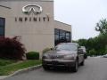 2007 Beryllium 16 Metallic Infiniti FX 35 AWD  photo #1