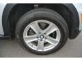 Titanium Silver Metallic - X5 4.8i Photo No. 27