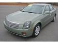 Silver Green - CTS Sedan Photo No. 2