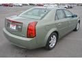 Silver Green - CTS Sedan Photo No. 5