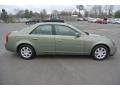 Silver Green - CTS Sedan Photo No. 6