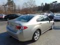 2009 Palladium Metallic Acura TSX Sedan  photo #3