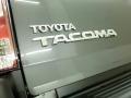 2015 Magnetic Gray Metallic Toyota Tacoma V6 Access Cab 4x4  photo #18