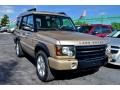 2004 Maya Gold Land Rover Discovery SE  photo #43