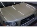 Sierra Gold Metallic - Forester 2.5 XS Photo No. 38