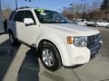 2012 White Suede Ford Escape Limited V6 4WD  photo #8